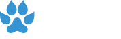 Wiild Interactive Logo