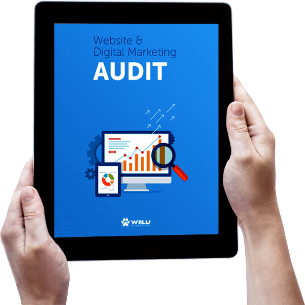 Audit report example