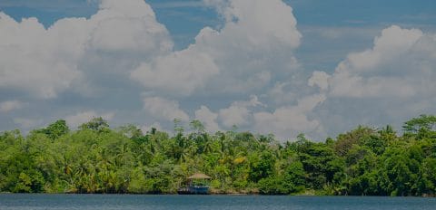 Tropical huts
